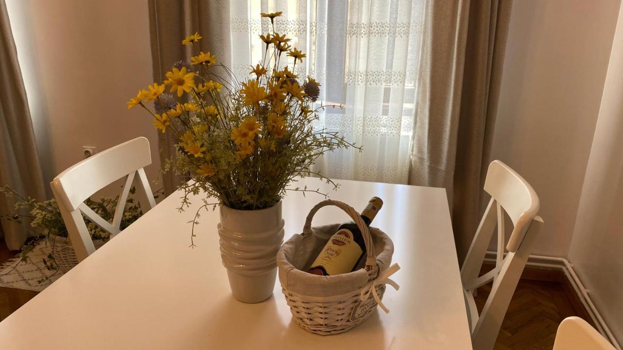 Old Town Apartment Ana Сибиу Экстерьер фото